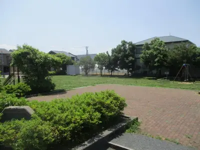 専光寺桃の木公園の写真