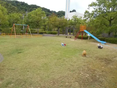 鳴和台市民公園の写真