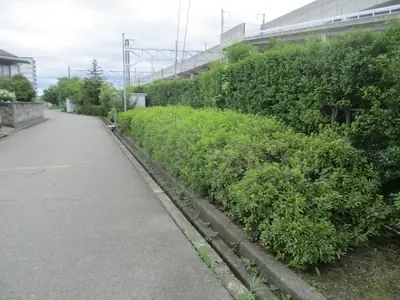 西金沢２丁目小緑地の写真