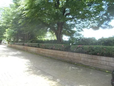 東御影町小緑地の写真