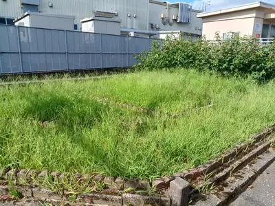 光が丘１丁目街角緑地の写真