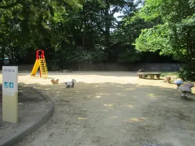 増泉児童公園の写真