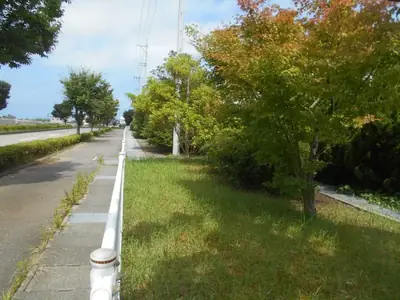 松村南緑地の写真
