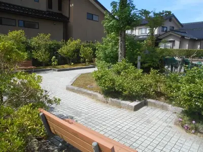 みずき１丁目東緑地の写真