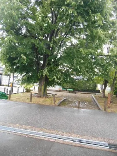 元町第１緑地の写真