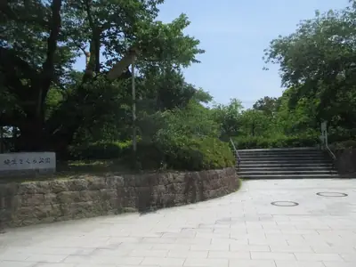 弥生さくら公園の写真