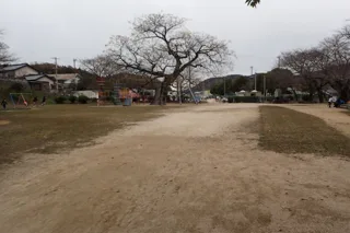 花岡公園の写真