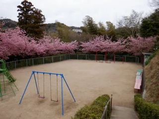 昭和町第1公園の写真