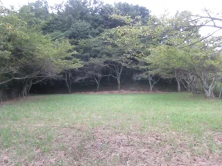 昭和町第2公園の写真