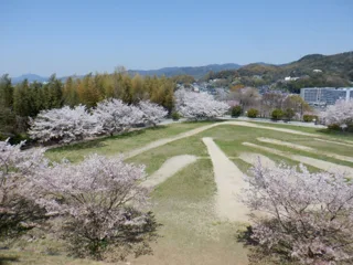 下松公園の写真