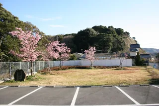 笠戸瀬戸緑地の写真