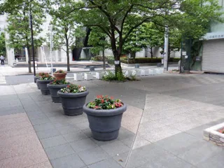 芝三丁目緑地の写真