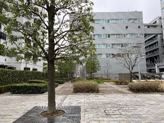 芝浦四丁目緑地の写真