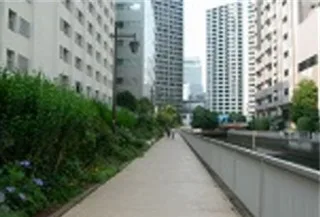 新芝運河沿緑地の写真
