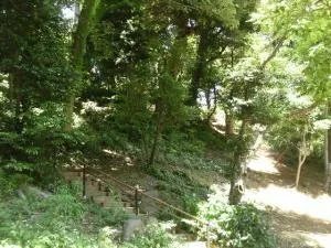高輪森の公園の写真