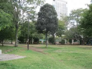 亀塚公園の写真