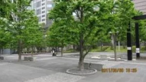 汐の公園の写真
