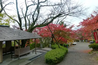 西山公園の写真