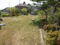 国見六丁目南公園の写真