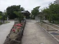 うどう沼公園の写真