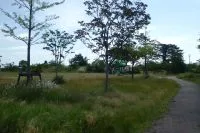 館中央公園の写真