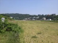 広瀬川牛越緑地の写真