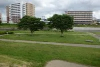 七北田川友愛緑地の写真