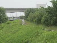 七北田川鶴巻緑地の写真