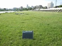 広瀬川宮沢緑地の写真