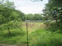 大堤公園の写真