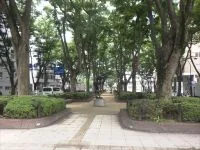 定禅寺通緑地の写真