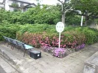 本沢北公園の写真