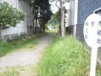 土樋緑地の写真