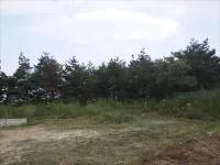 国見ヶ丘６号緑地の写真