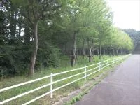 南吉成１号緑地の写真