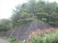 南吉成３号緑地の写真