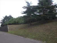 南吉成４号緑地の写真