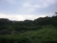 中山台２号緑地の写真