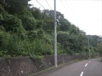中山台３号緑地の写真
