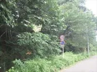 中山台４号緑地の写真