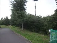 中山台西２号緑地の写真