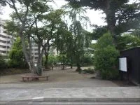 中島丁公園の写真
