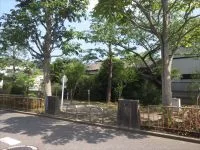 中江西公園の写真