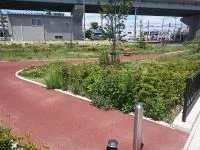 上岡田西緑地の写真