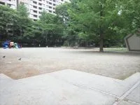 五橋公園の写真