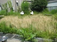 堀切公園の写真