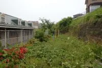 東黒松公園の写真