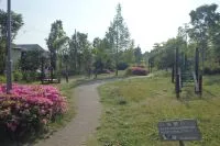 紫山四丁目公園の写真