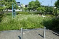 松森後田公園の写真