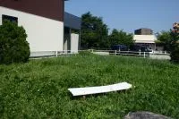 中道公園の写真